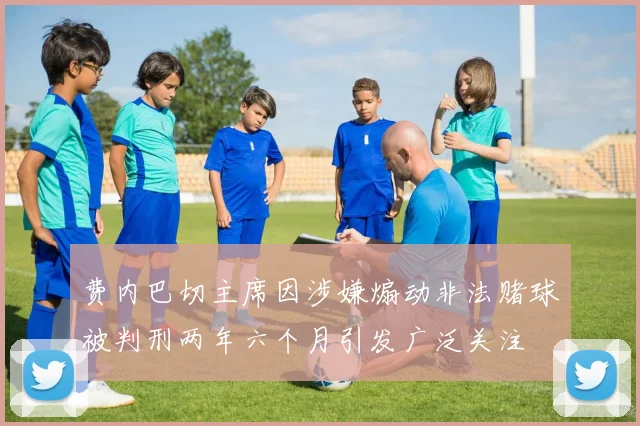 费内巴切主席因涉嫌煽动非法赌球被判刑两年六个月引发广泛关注