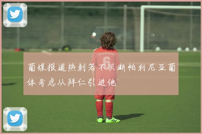 葡媒报道热刺若不买断帕利尼亚葡体考虑从拜仁引进他